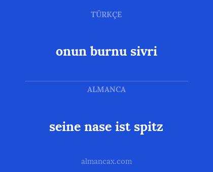 onun burnu sivri - seine nase ist spitz