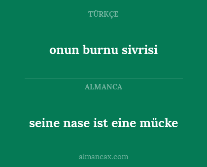seine nase ist eine mücke - onun burnu sivrisi