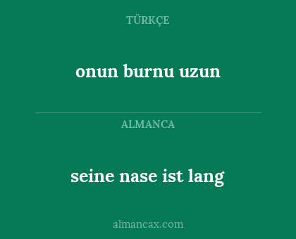seine nase ist lang - onun burnu uzun