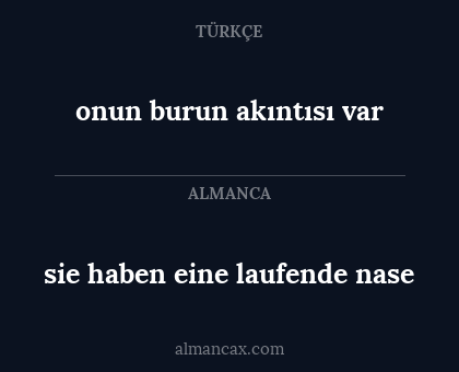 onun burun akıntısı var - sie haben eine laufende nase