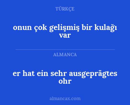 er hat ein sehr ausgeprägtes ohr - onun çok gelişmiş bir kulağı var