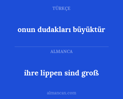 ihre lippen sind groß - onun dudakları büyüktür