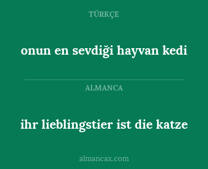 onun en sevdiği hayvan kedi - ihr lieblingstier ist die katze