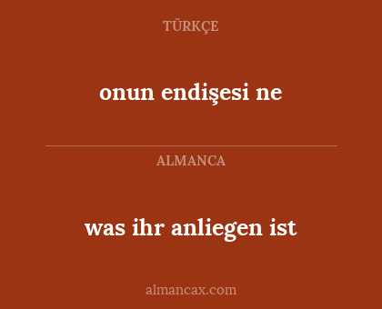 onun endişesi ne - was ihr anliegen ist