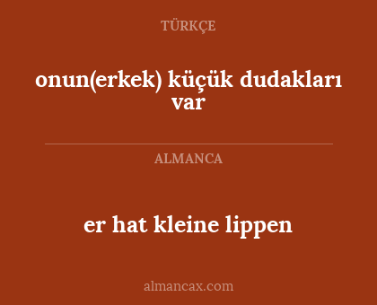er hat kleine lippen - onun(erkek) küçük dudakları var