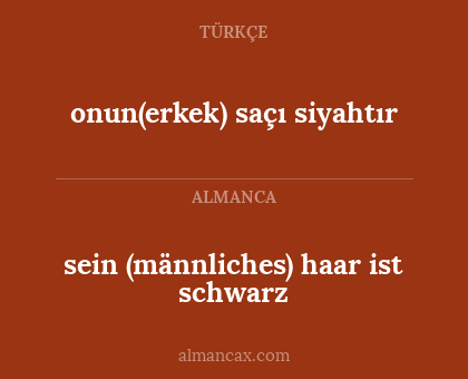 sein (männliches) haar ist schwarz - onun(erkek) saçı siyahtır