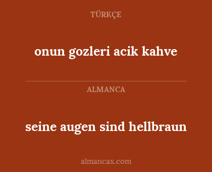 seine augen sind hellbraun - onun gozleri acik kahve