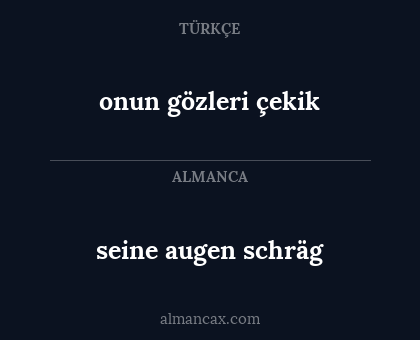 seine augen schräg - onun gözleri çekik