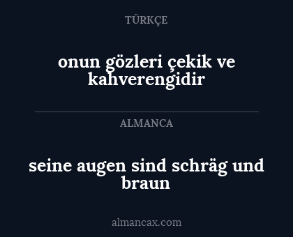 onun gözleri çekik ve kahverengidir - seine augen sind schräg und braun