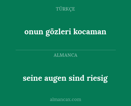 onun gözleri kocaman - seine augen sind riesig