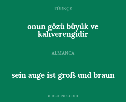 onun gözü büyük ve kahverengidir - sein auge ist groß und braun