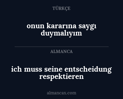 ich muss seine entscheidung respektieren - onun kararına saygı duymalıyım