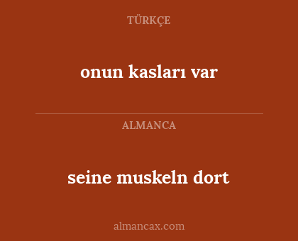 onun kasları var - seine muskeln dort
