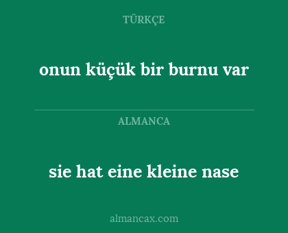 sie hat eine kleine nase - onun küçük bir burnu var