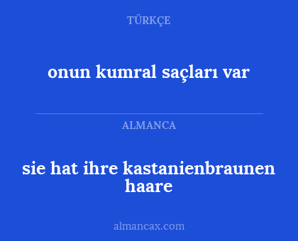 onun kumral saçları var - sie hat ihre kastanienbraunen haare