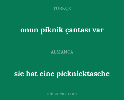onun piknik çantası var - sie hat eine picknicktasche