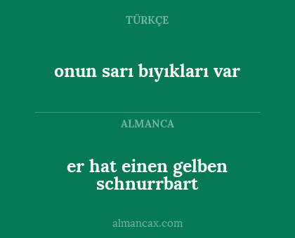 onun sarı bıyıkları var - er hat einen gelben schnurrbart