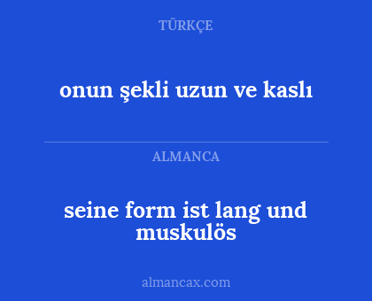 onun şekli uzun ve kaslı - seine form ist lang und muskulös