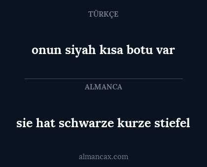 onun siyah kısa botu var - sie hat schwarze kurze stiefel