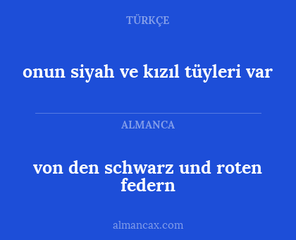onun siyah ve kızıl tüyleri var - von den schwarz und roten federn
