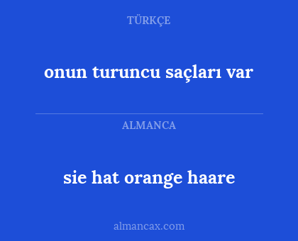 sie hat orange haare - onun turuncu saçları var