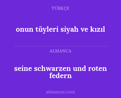 seine schwarzen und roten federn - onun tüyleri siyah ve kızıl