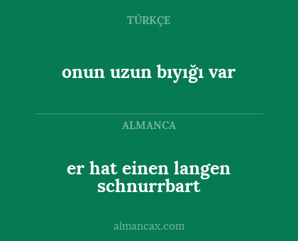 er hat einen langen schnurrbart - onun uzun bıyığı var