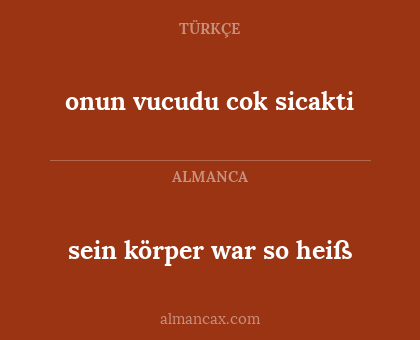 onun vucudu cok sicakti - sein körper war so heiß