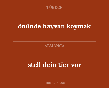 stell dein tier vor - önünde hayvan koymak