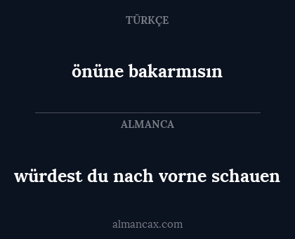 önüne bakarmısın - würdest du nach vorne schauen