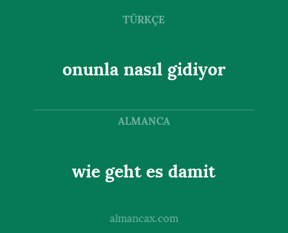 onunla nasıl gidiyor - wie geht es damit