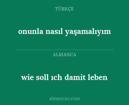 onunla nasıl yaşamalıyım - wie soll ıch damit leben