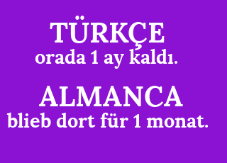 orada+1+ay+kald%C4%B1.-blieb+dort+f%C3%BCr+1+monat..png