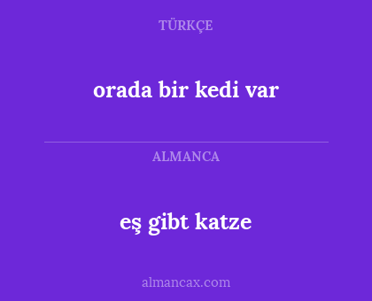 eş gibt katze - orada bir kedi var