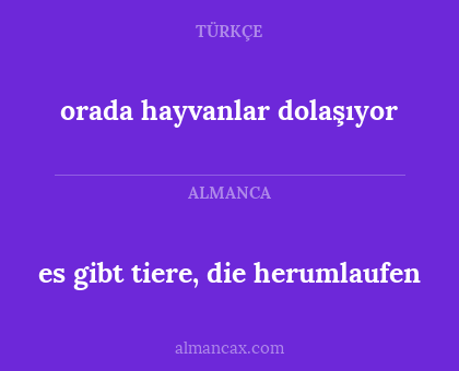 orada hayvanlar dolaşıyor - es gibt tiere, die herumlaufen