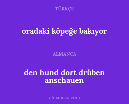 oradaki köpeğe bakıyor - den hund dort drüben anschauen