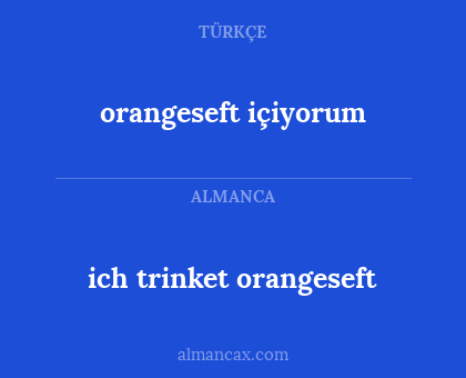 ich trinket orangeseft - orangeseft içiyorum