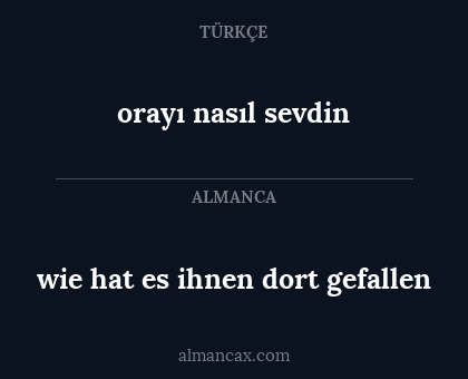 wie hat es ihnen dort gefallen - orayı nasıl sevdin