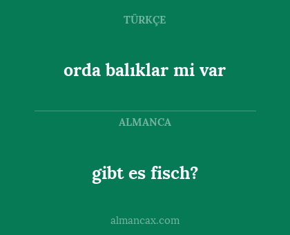 orda balıklar mi var - gibt es fisch?