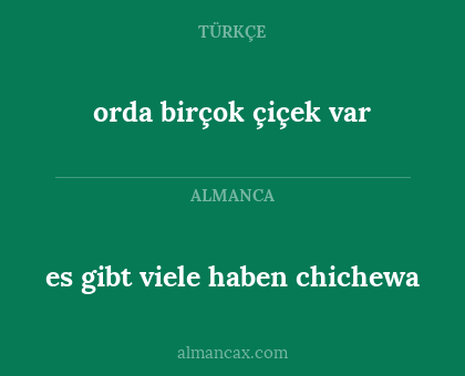 orda birçok çiçek var - es gibt viele haben chichewa