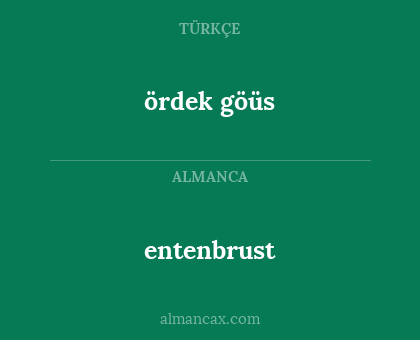 ördek göüs - entenbrust