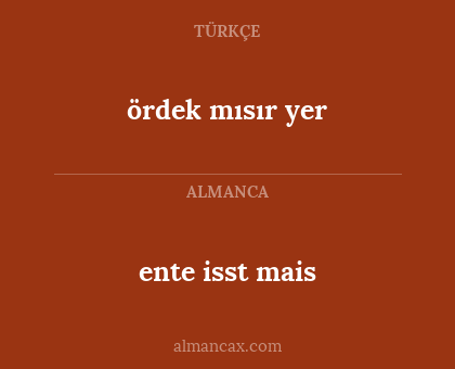 ördek mısır yer - ente isst mais