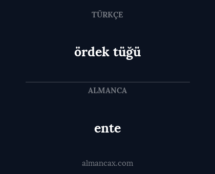 ördek tüğü - ente