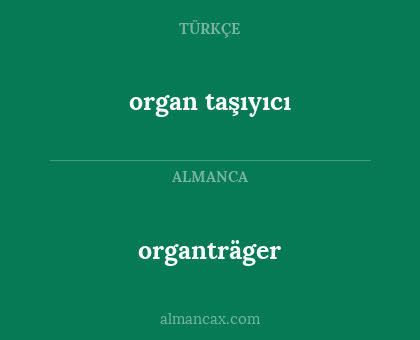 organträger - organ taşıyıcı