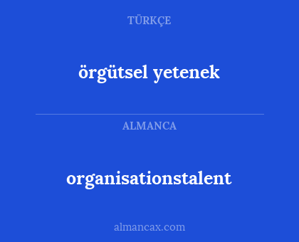 örgütsel yetenek - organisationstalent