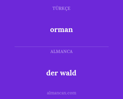 der wald - orman