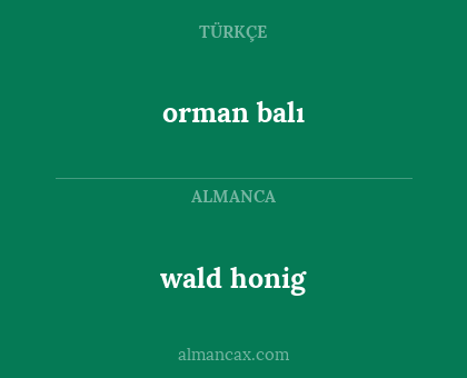 wald honig - orman balı