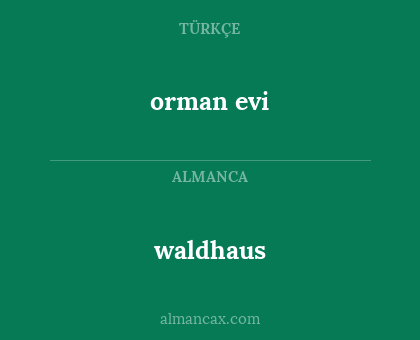 waldhaus - orman evi
