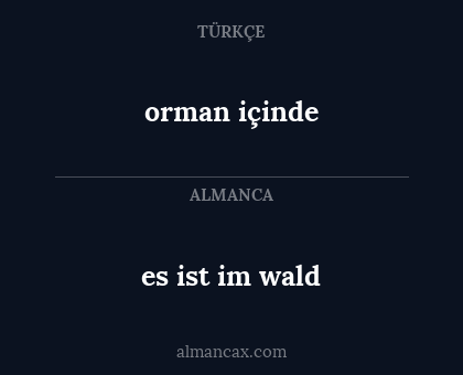 orman içinde - es ist im wald