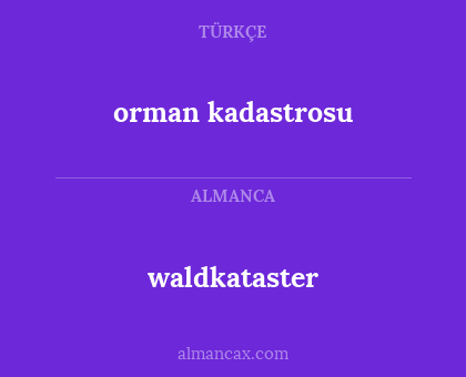 orman kadastrosu - waldkataster